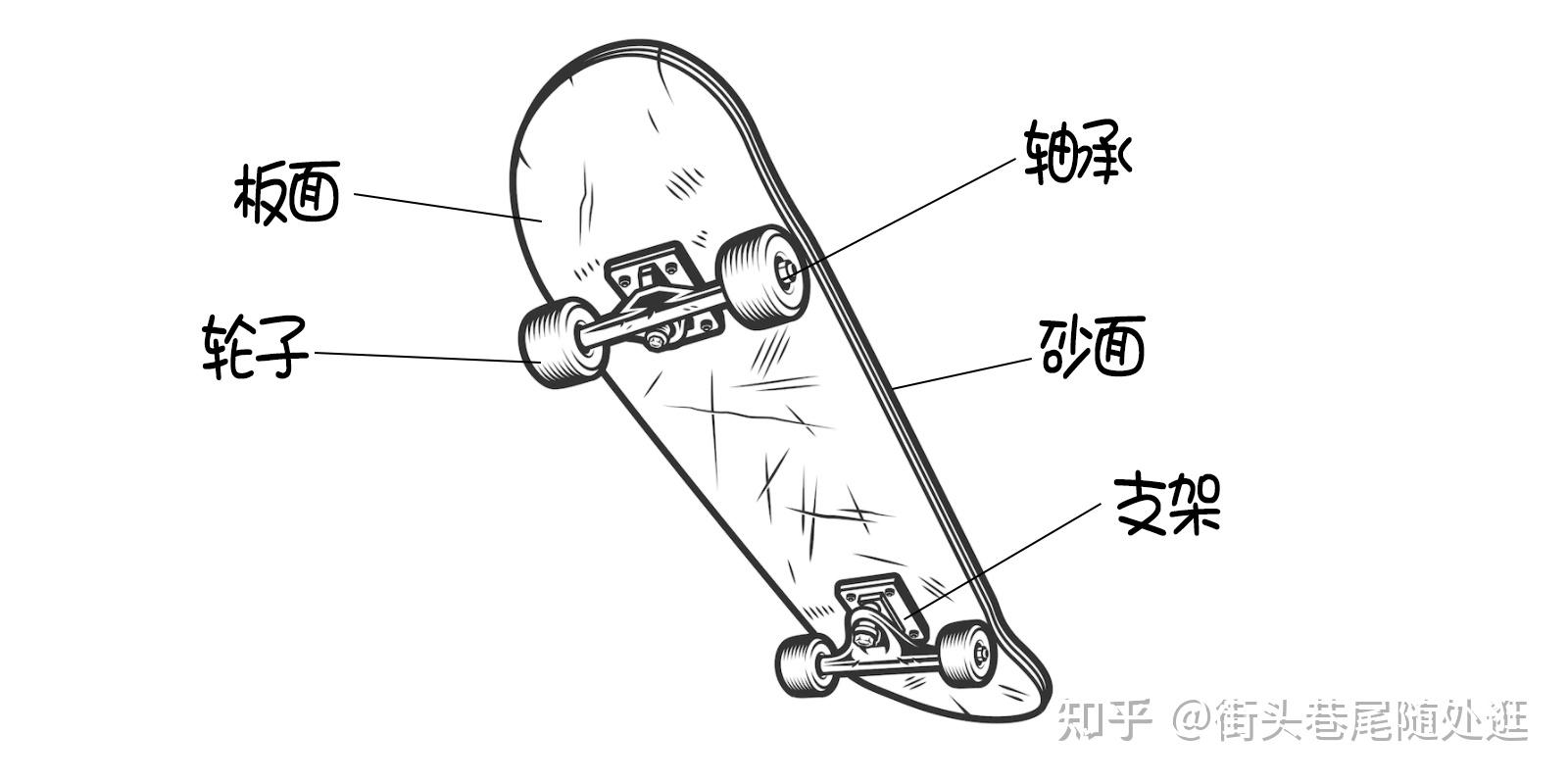 滑板结构分解图图片