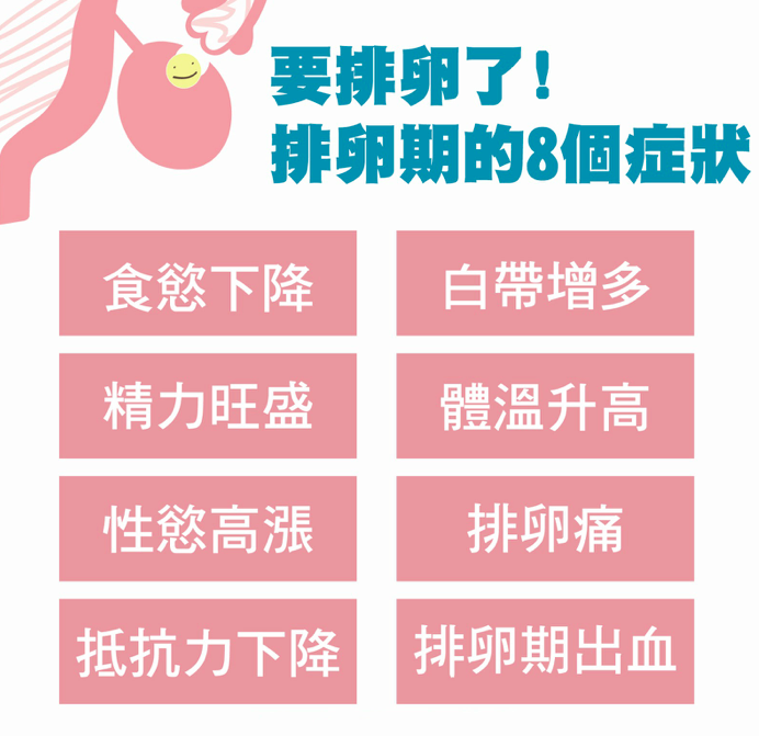 排卵期有什么症状