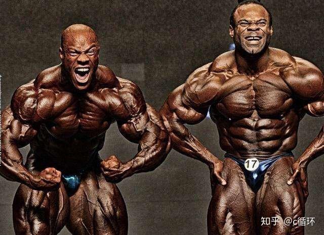 类固醇中级增肌计划分享