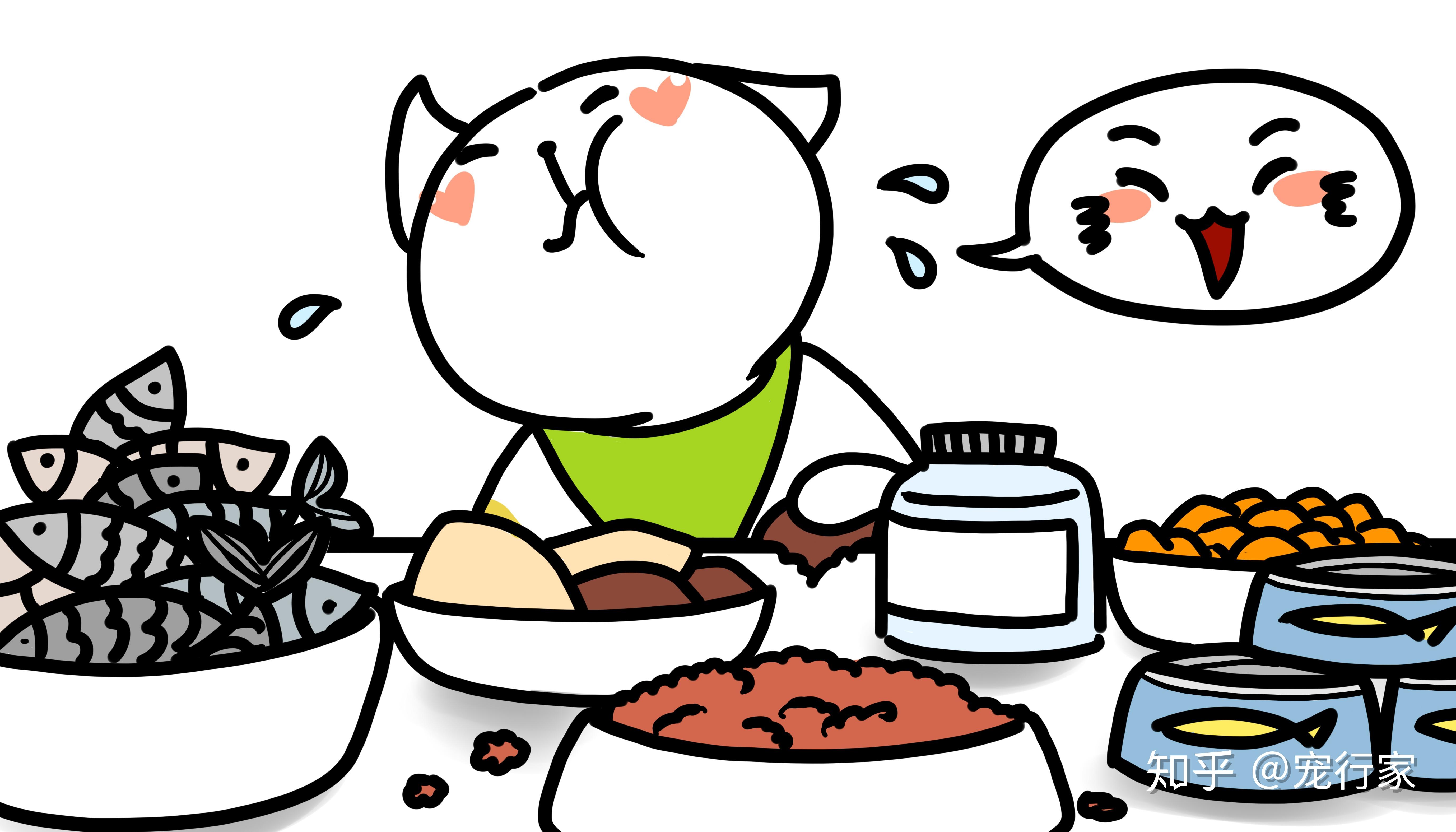 给猫喂猫粮真的很好吗6个你需要认真考究的可怕事实