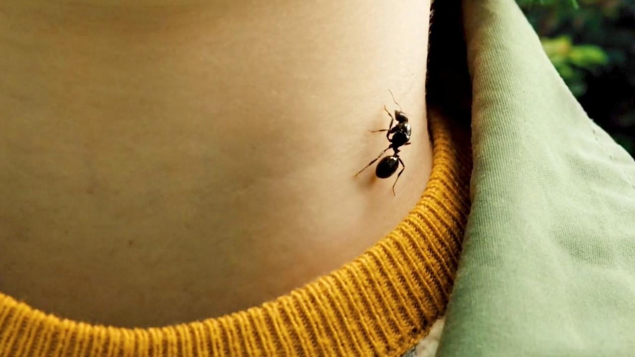 电影《蚂蚁男孩》,被蚂蚁咬了一口获得超能力,轻轻把老师击飞