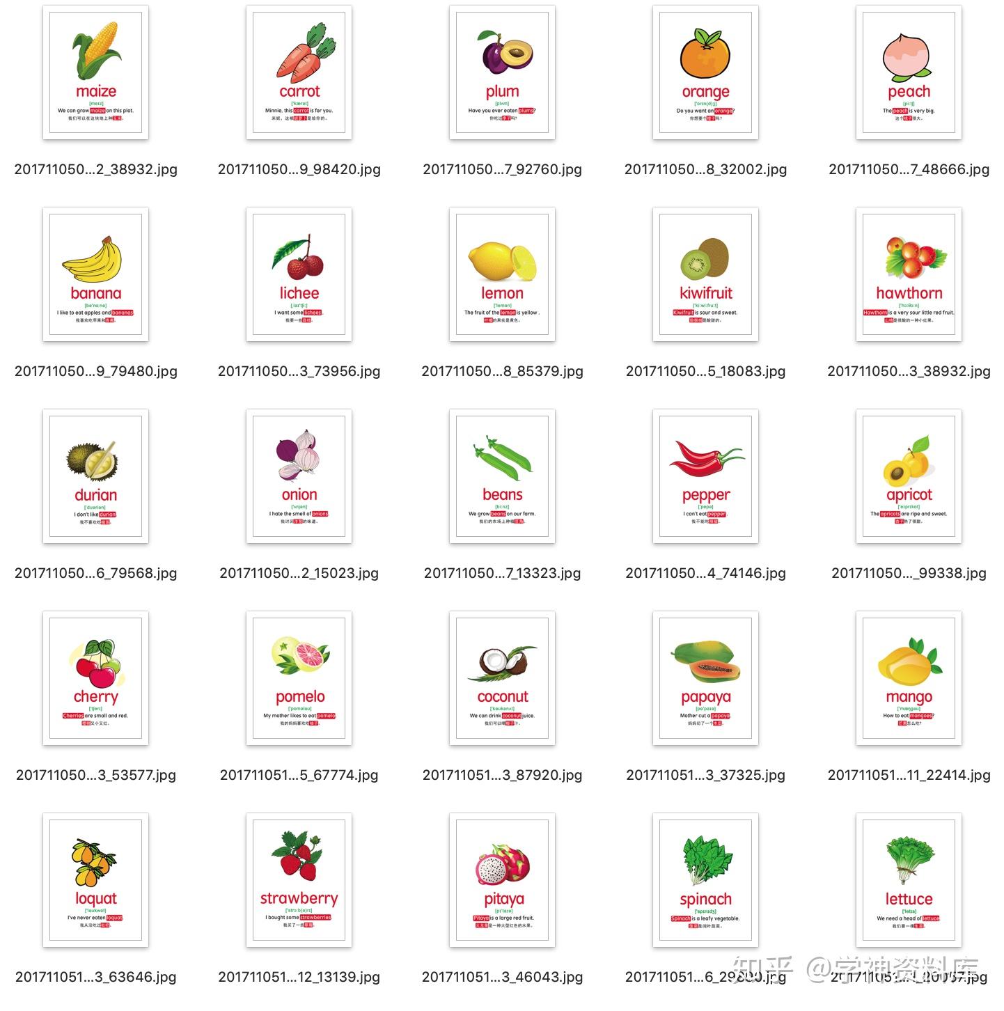 少儿英语单词卡片，1260张，有音标，有例句，可直接打印 - 知乎