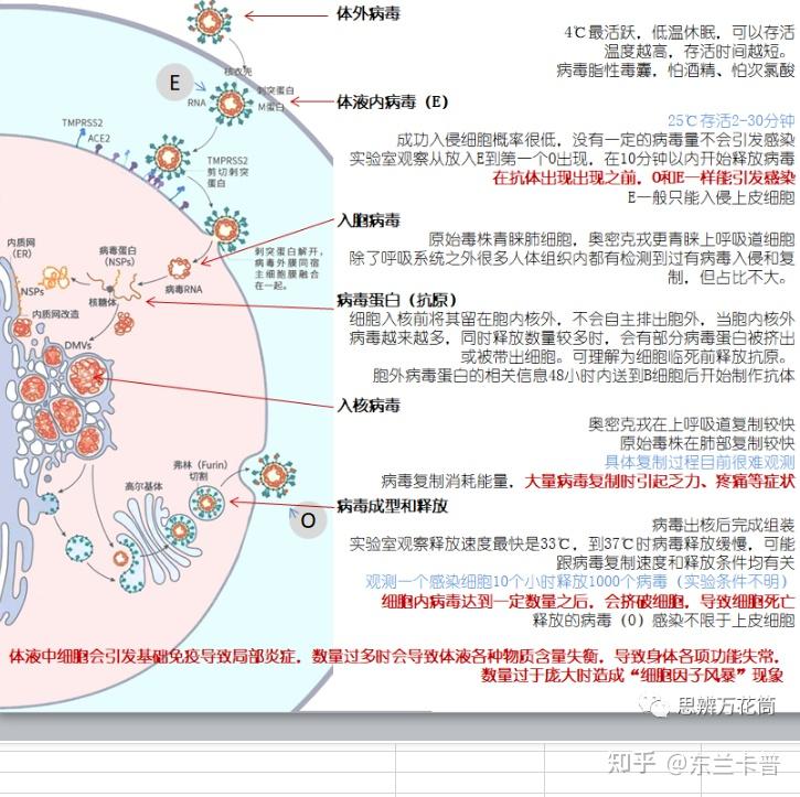 新冠病毒最新分布地图图片