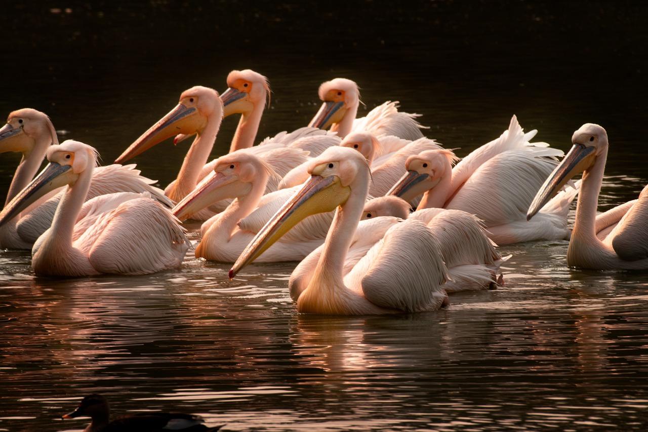 开盘前注意事项