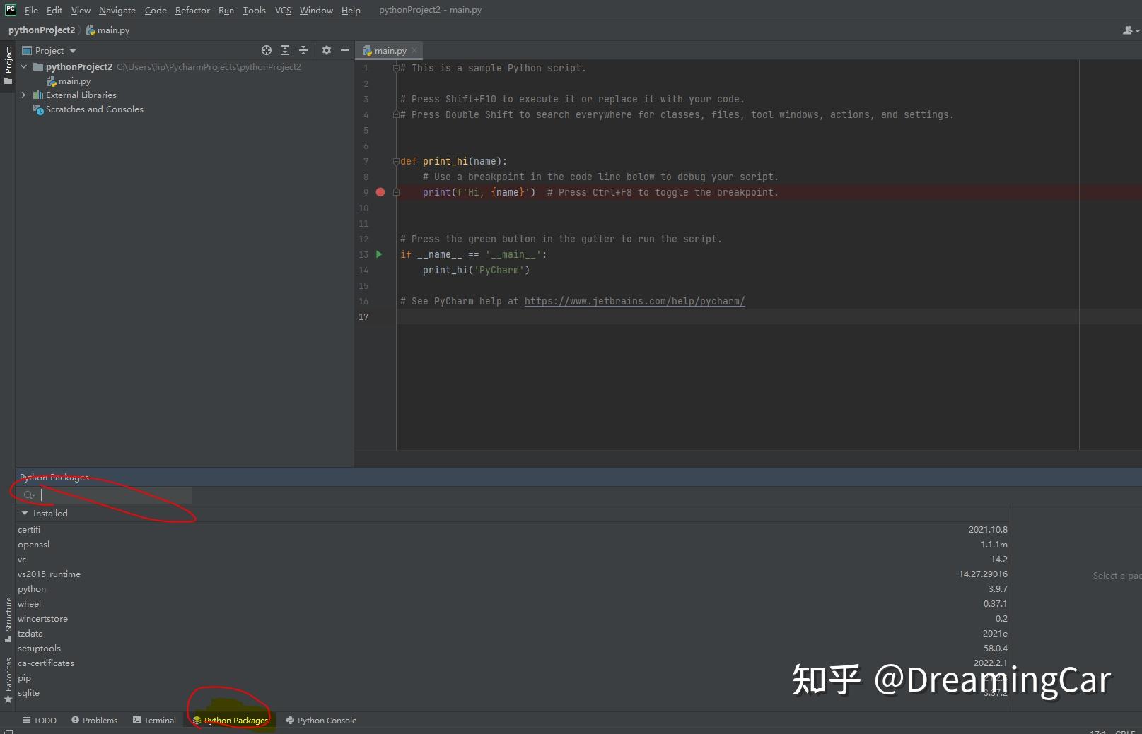 Python pytorch cuda 