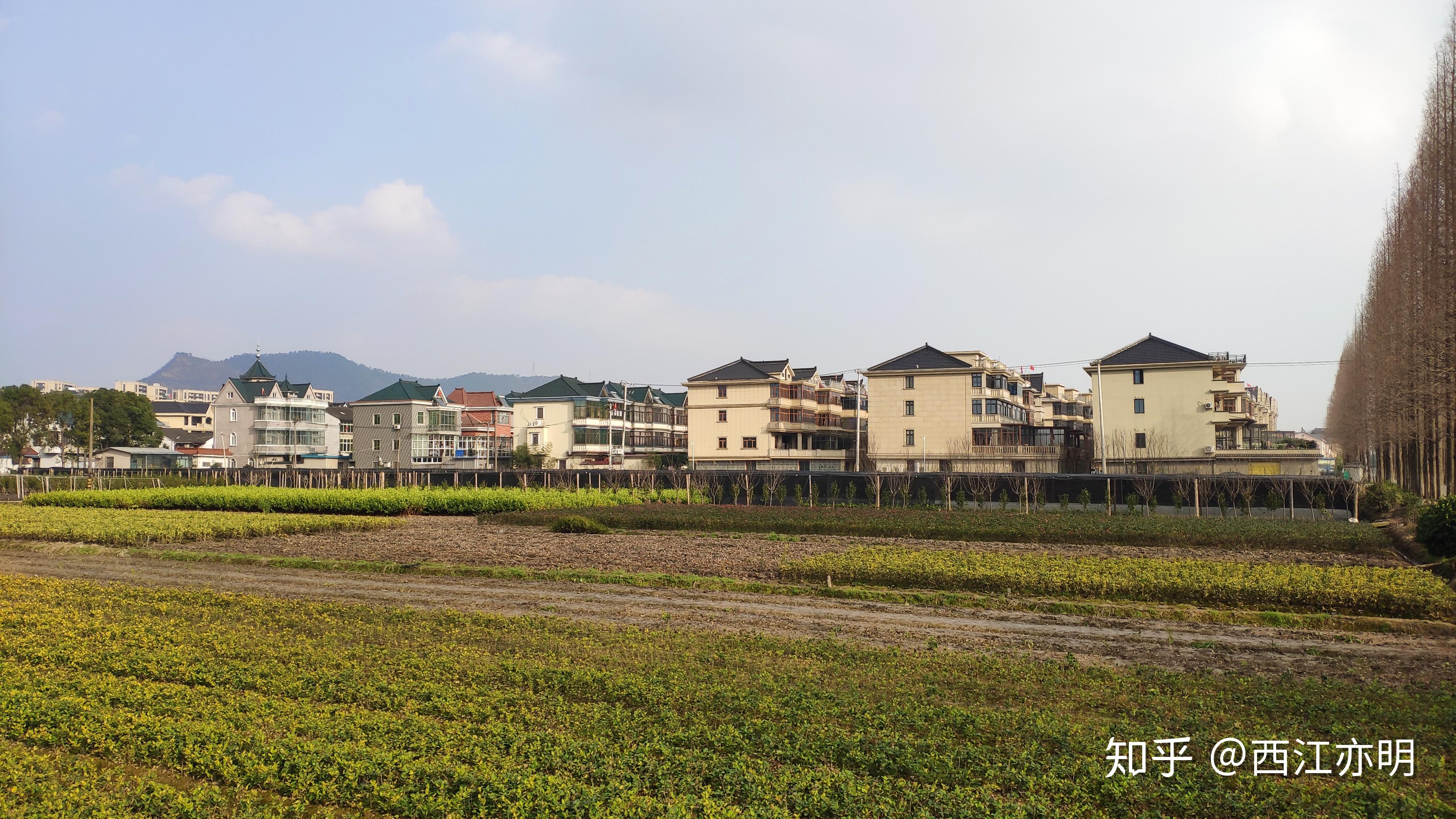 江浙一带的农村有多富裕? - 知乎