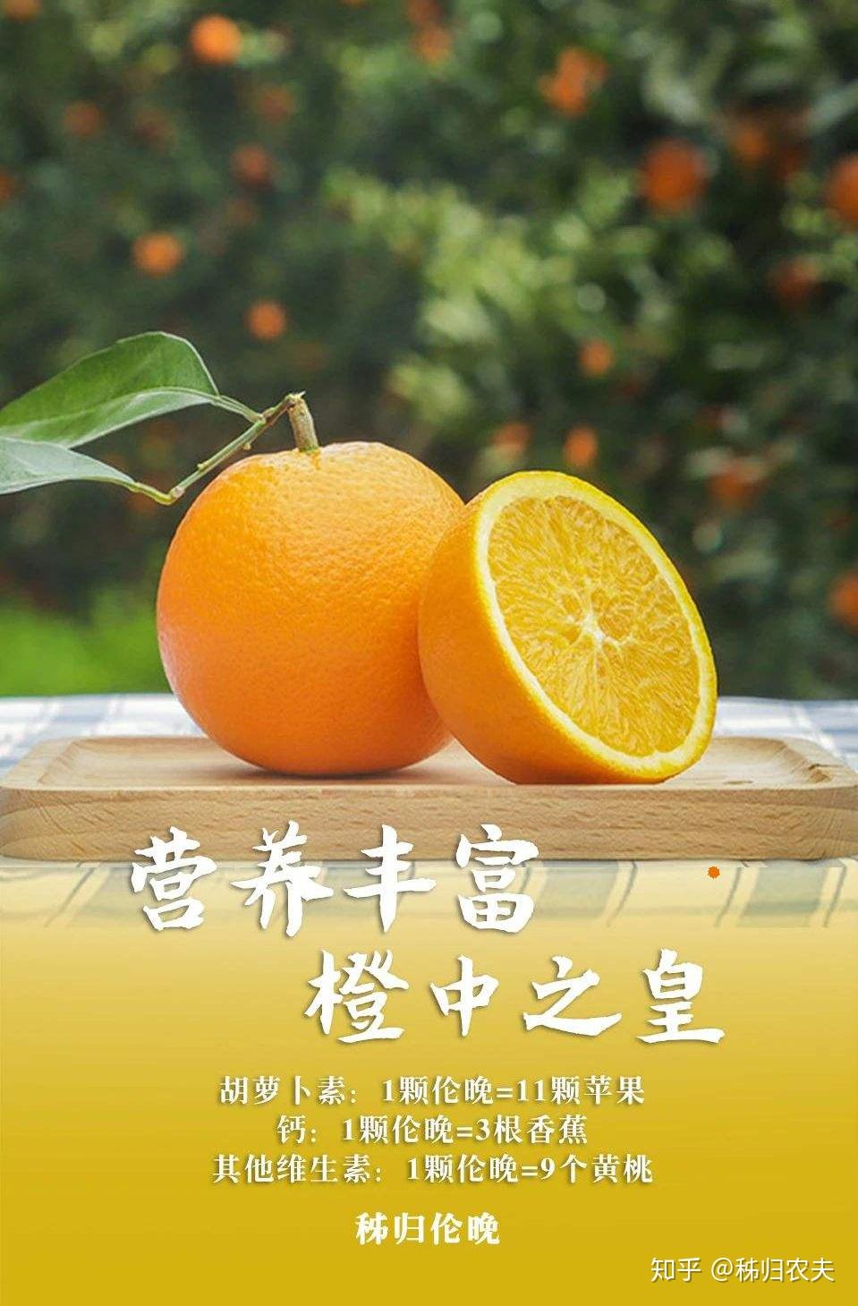 秭归帝王橙--伦晚 - 知乎