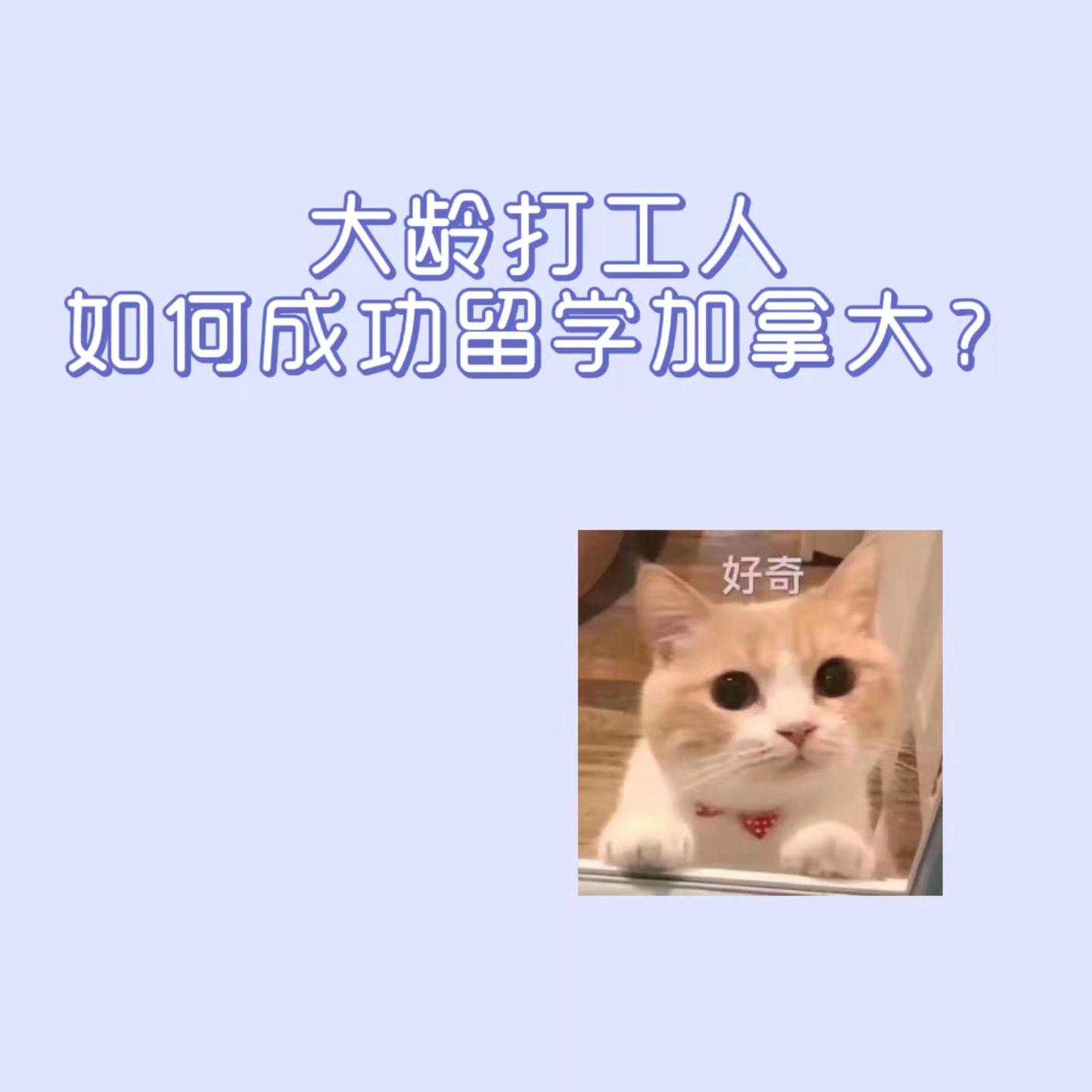 v2-68677bda1159f52d57a9d95f31833ef0_1440w.jpg?source=172ae18b