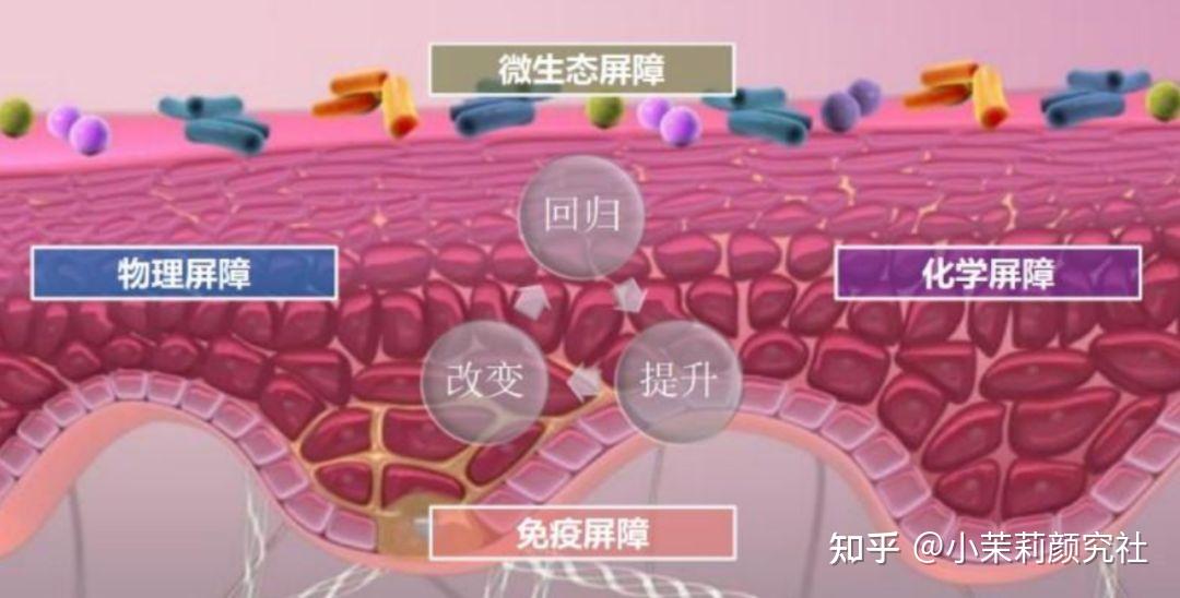 烂脸一直好不了，先治痘还是先修复屏障？ - 知乎