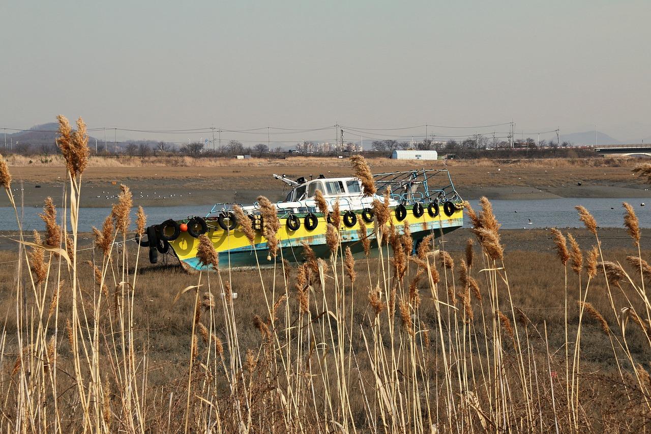 3. 生物降解菌剂