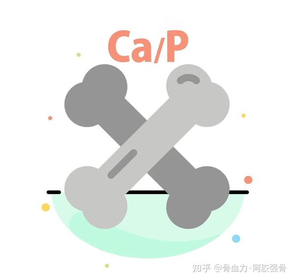 骨骼系统——钙磷代谢及调控 - 知乎