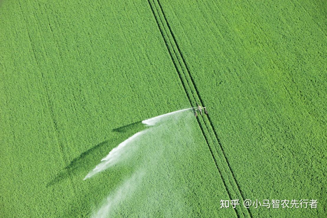 喷灌、滴灌、水平、涌流……哪种灌溉方式最节水？ - 知乎