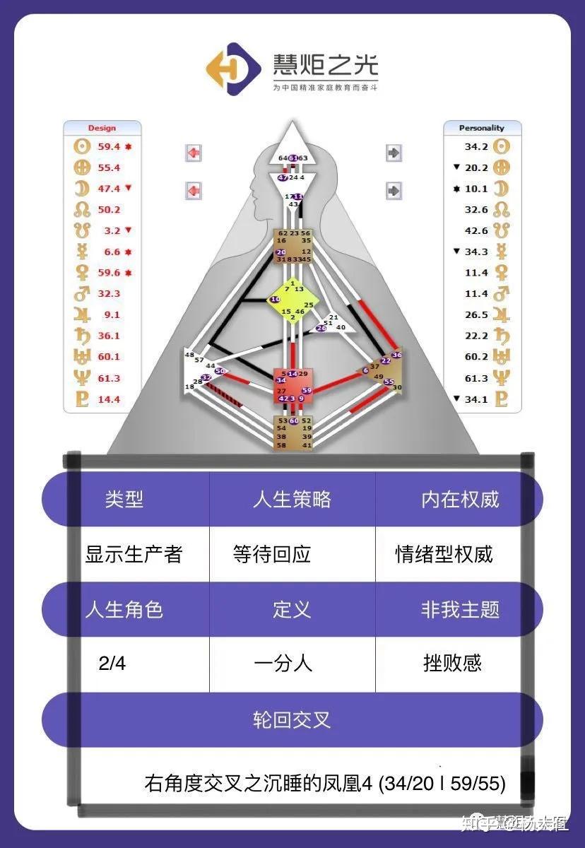 人类图干货