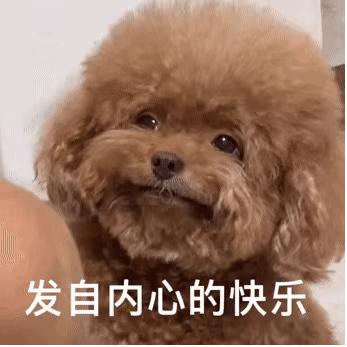 动图封面