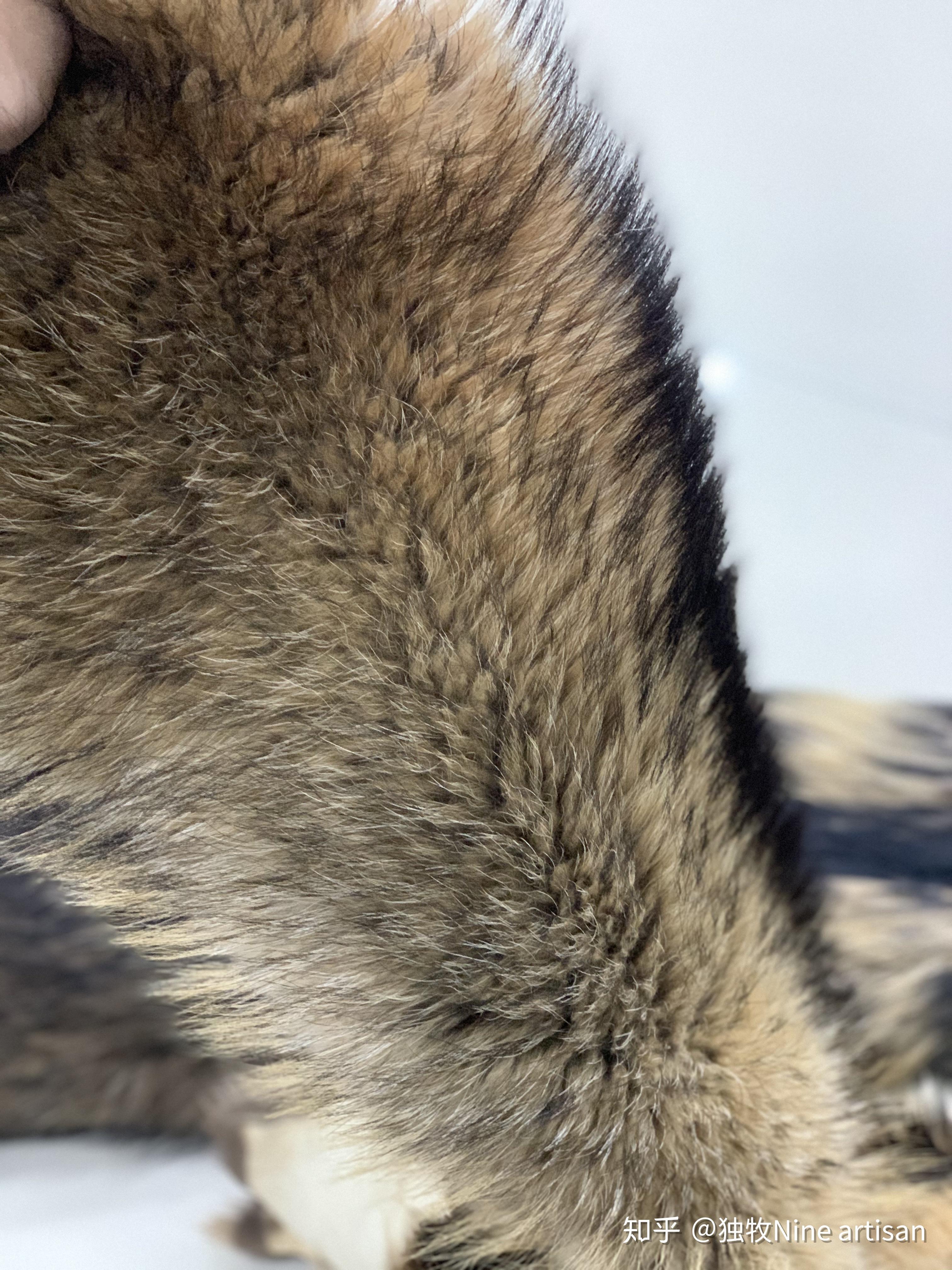 狼毛和貉子毛有什么区别