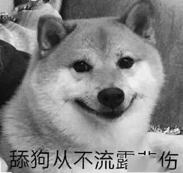 舔狗搞笑表情包 - 知乎