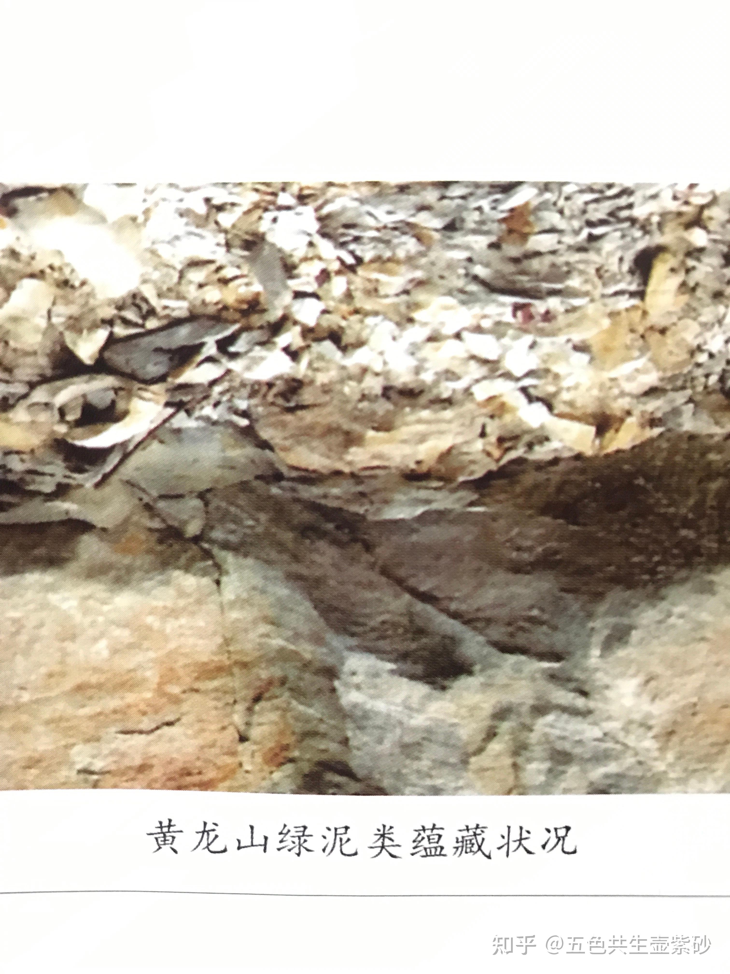 宜兴黄龙山本山绿泥类与本山段泥类紫砂的区别?(第二节 - 知乎