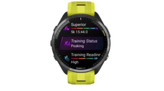 新品未開封】GARMIN Forerunner 965 保証書付 | www.tigerwingz.com