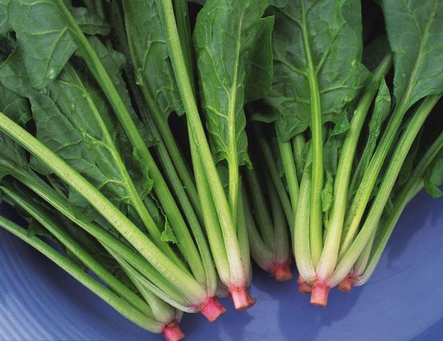这种蔬菜是最好的肠道清热剂润肠通便治痔疮