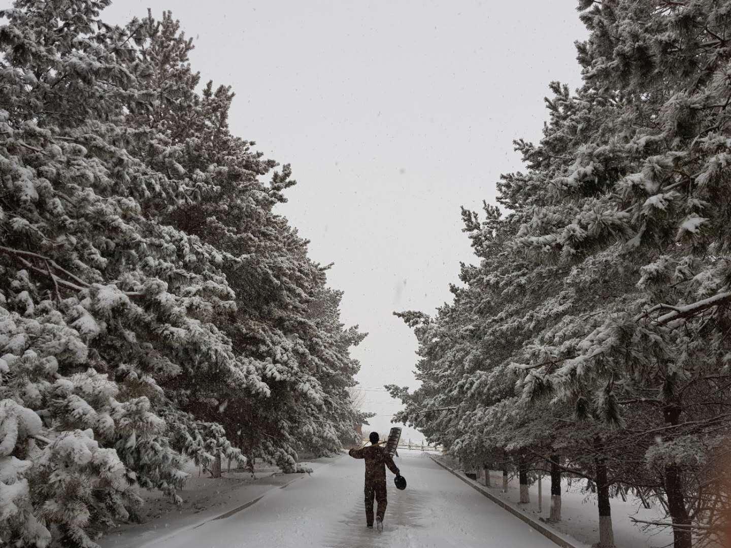 大学去当兵回来再读大学是种什么体验?