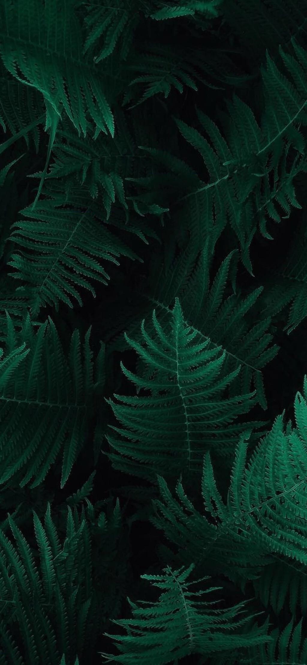 有没有美腻的iphonex全面屏的壁纸呀?