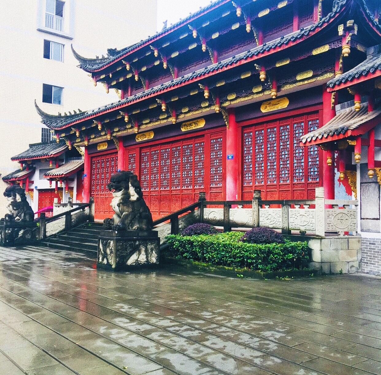 在隆昌一中就读有什么体验