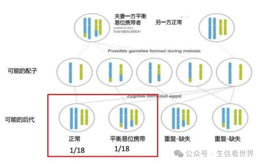 染色体变异与生物演化 - 知乎