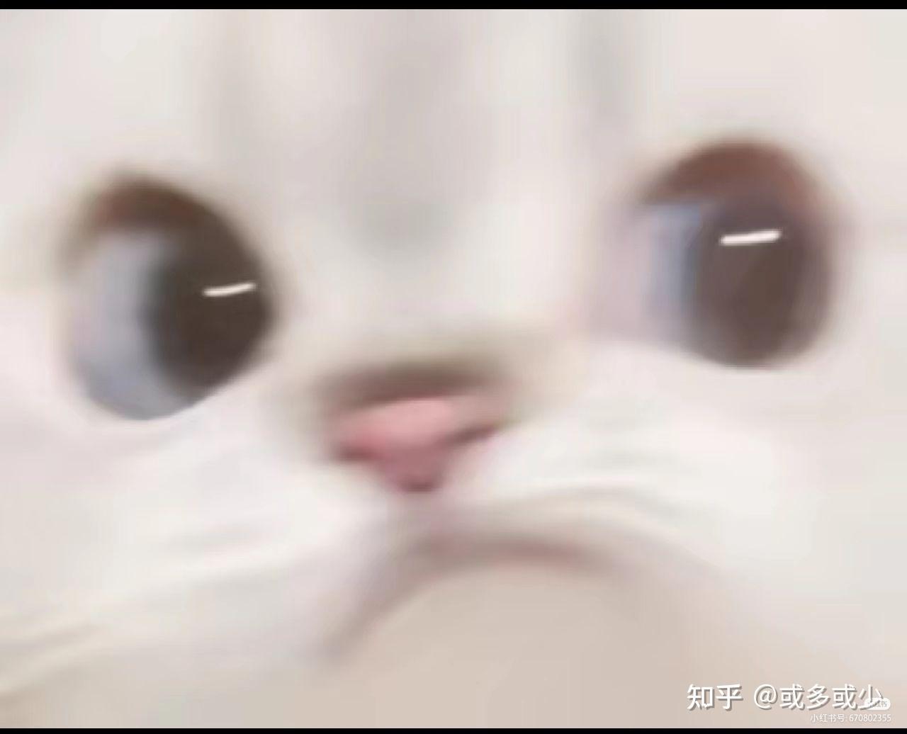 “撇了撇嘴”到底是什么表情？有图吗？ - 知乎