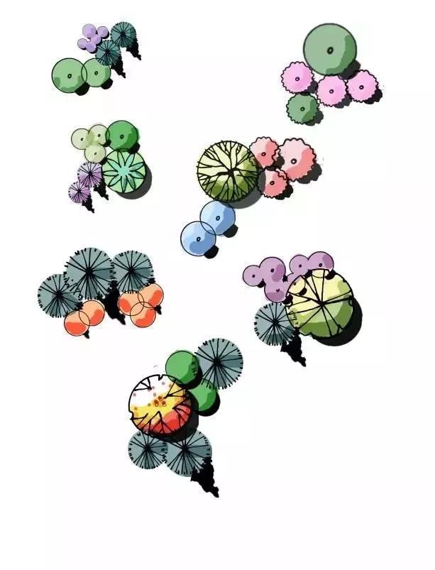 快题干货植物配置太单一教你快速搞定平面植物穿插