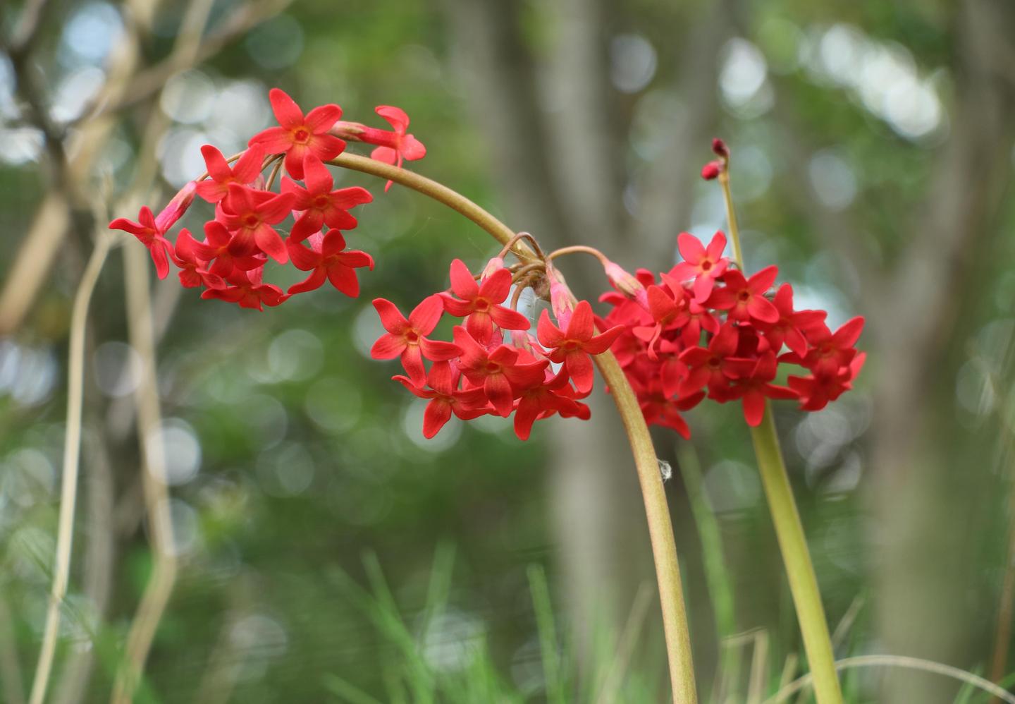 自然 足迹 京花烟云 上 百花山 知乎