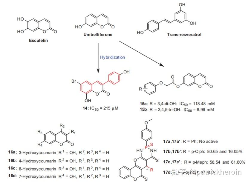 从药物化学视角筛选作为皮肤美白试剂的酪氨酸酶抑制剂