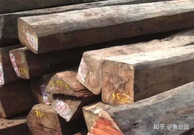 常见木材的本色到底是什么样? - 知乎