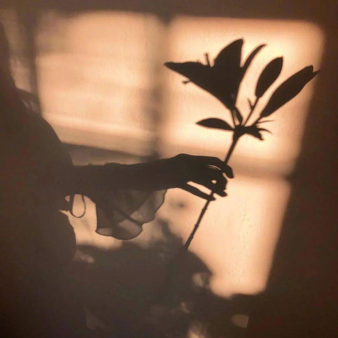 啥是微信背景 v2-68e352fc7b15e683b0f26d406c117604_r.jpg