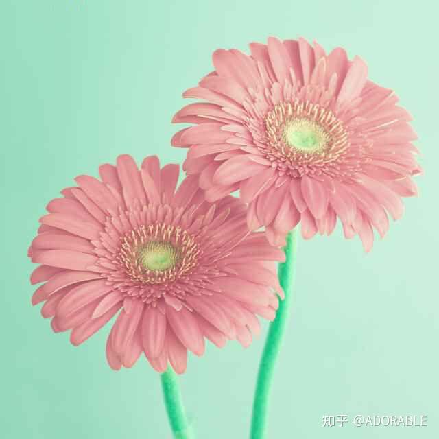 有哪些适合爸妈用的微信头像