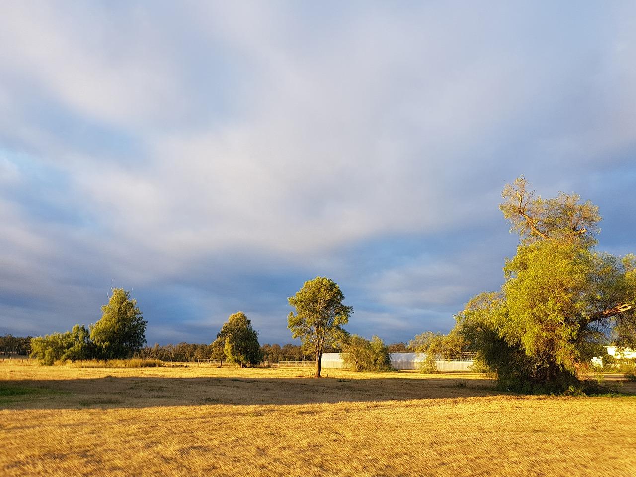 2. 景观高层豪宅