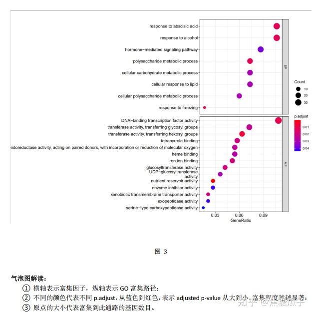 转录组分析之GO富集分析 - 知乎