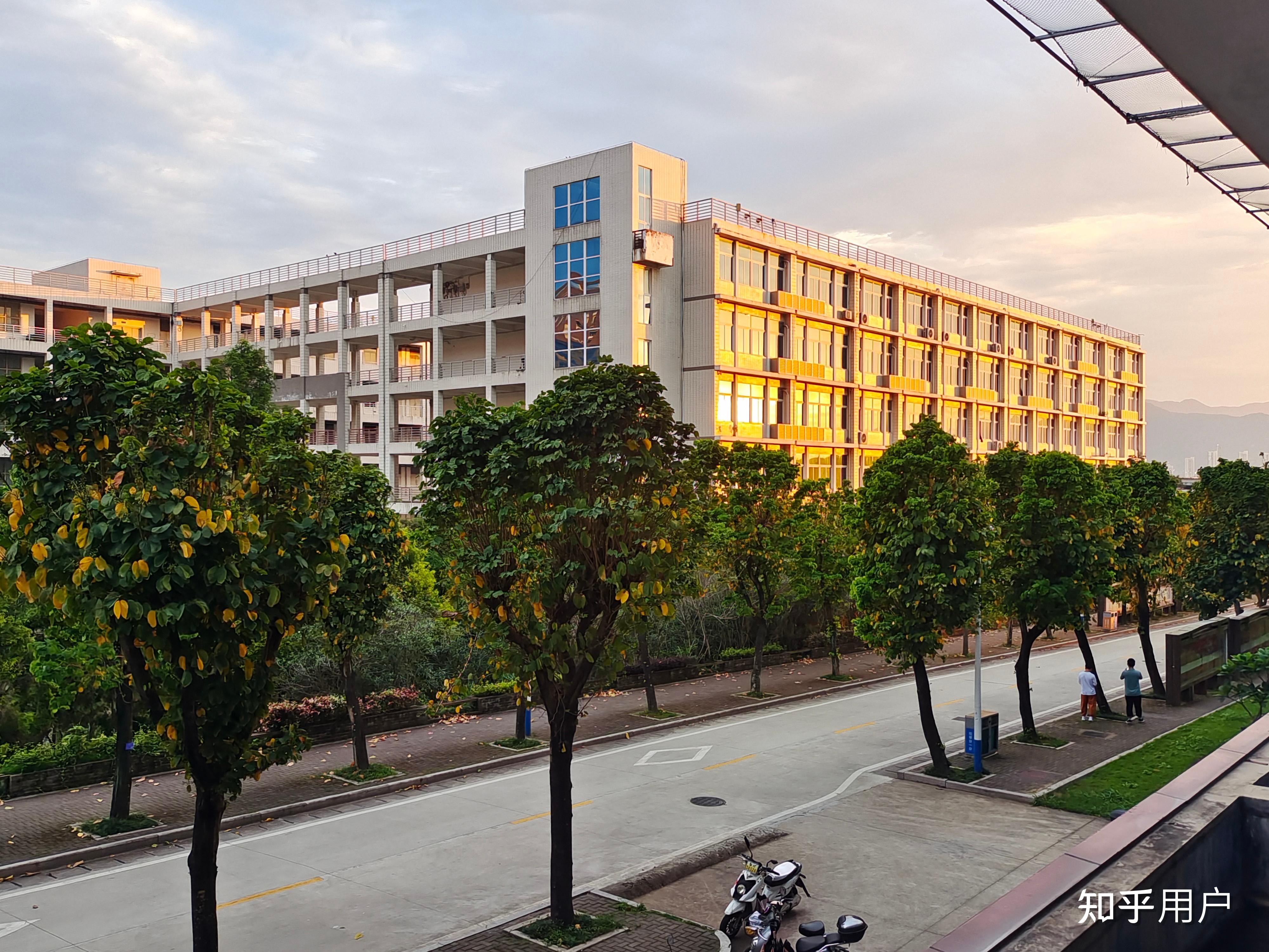在福建农林大学金山学院就读是什么体验? - 知乎