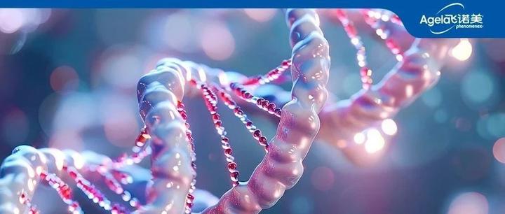 【飞诺美色谱】最新成果丨Biozen dSEC-7助力IVT mRNA聚集体分析 - 知乎