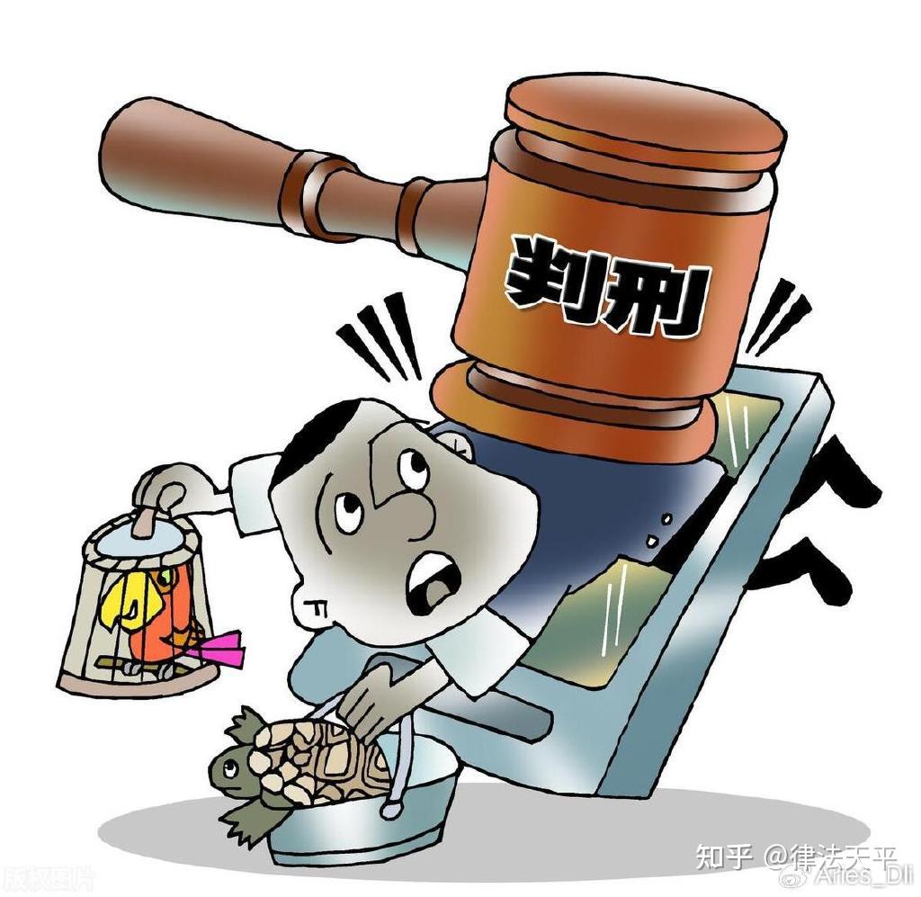 逃税罪有无期徒刑吗判多少年- 知乎