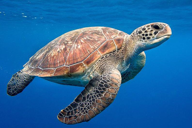 海龟交易法实盘记录20180212