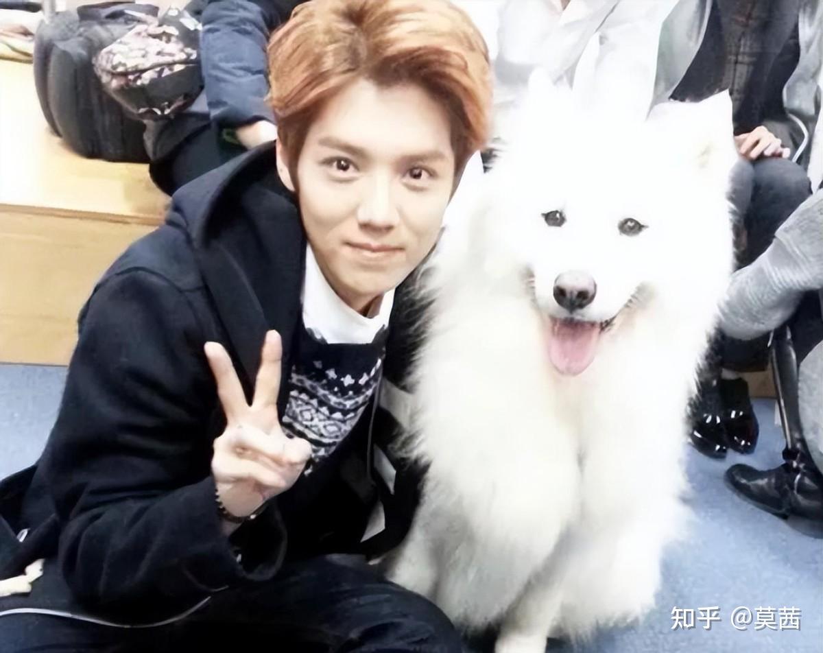 关晓彤,快管管你男友:34岁搞直播的鹿晗,已彻底"放飞自我"了 - 知乎