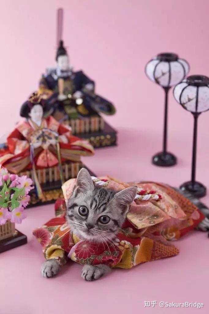 日本的猫文化