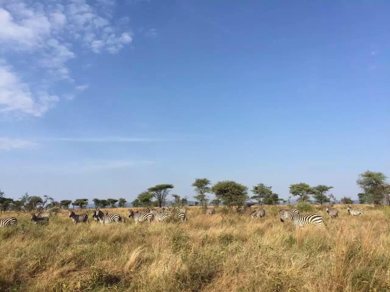 请问肯尼亚旅游找地接大约费用多少 camp到底