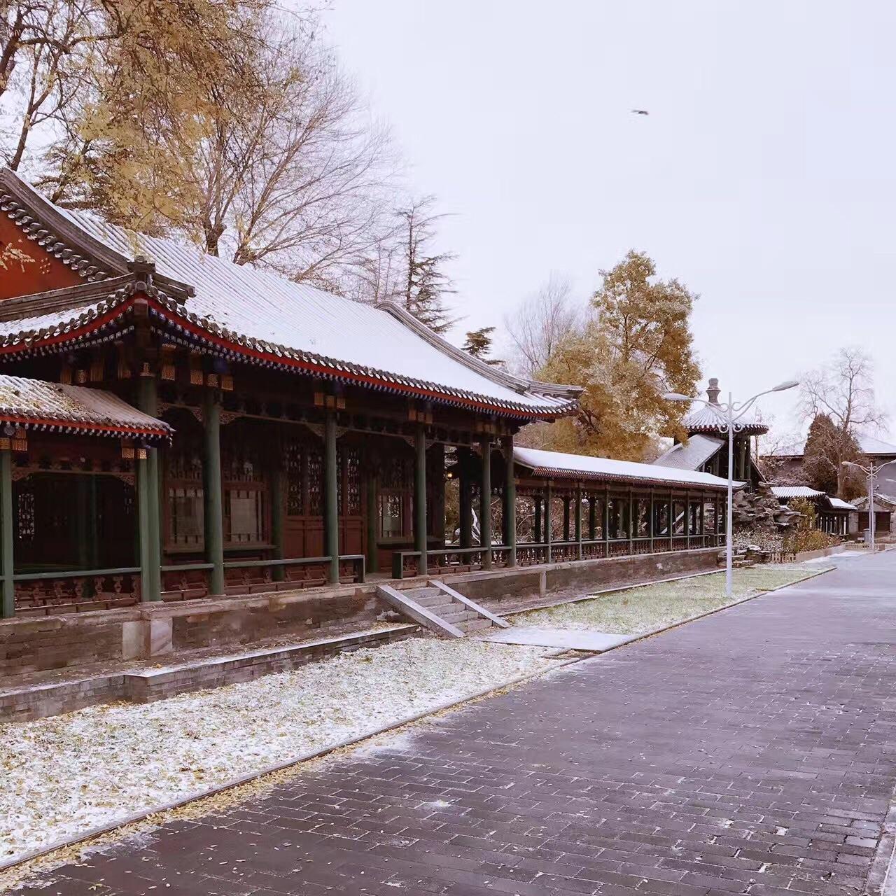 在面积特别小的大学上学是怎样一种体验?