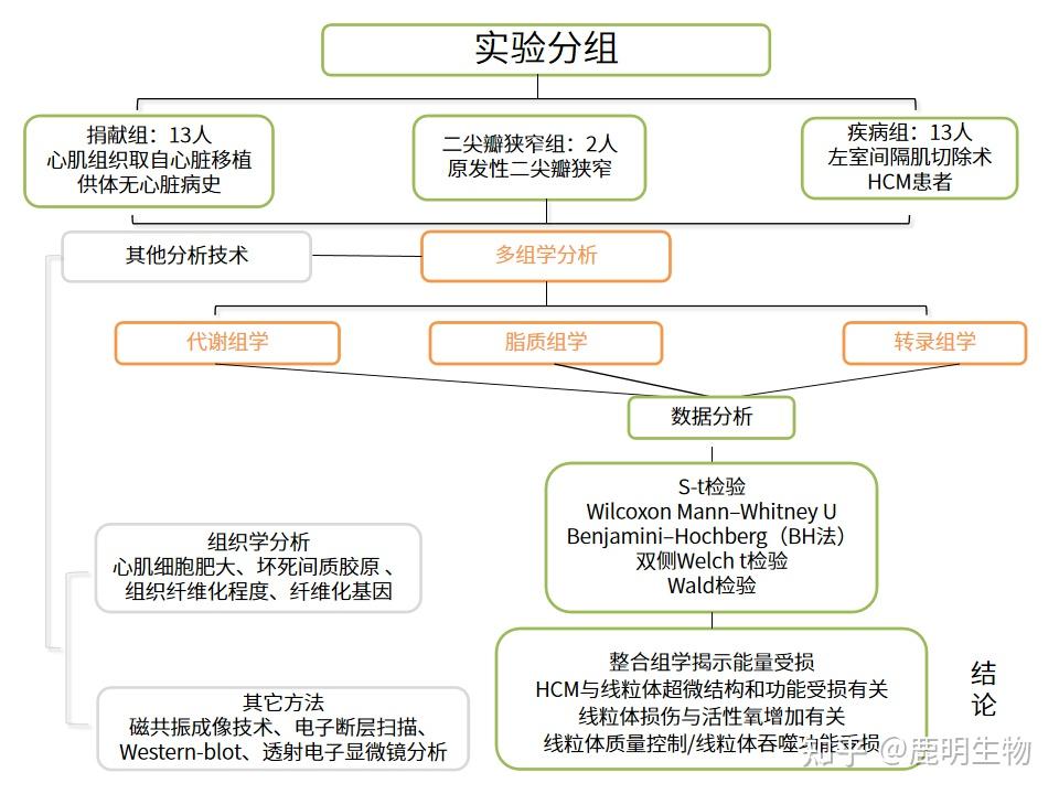 轉錄組學代謝組學脂質組學多組學研究描繪肥厚型心肌病的病理