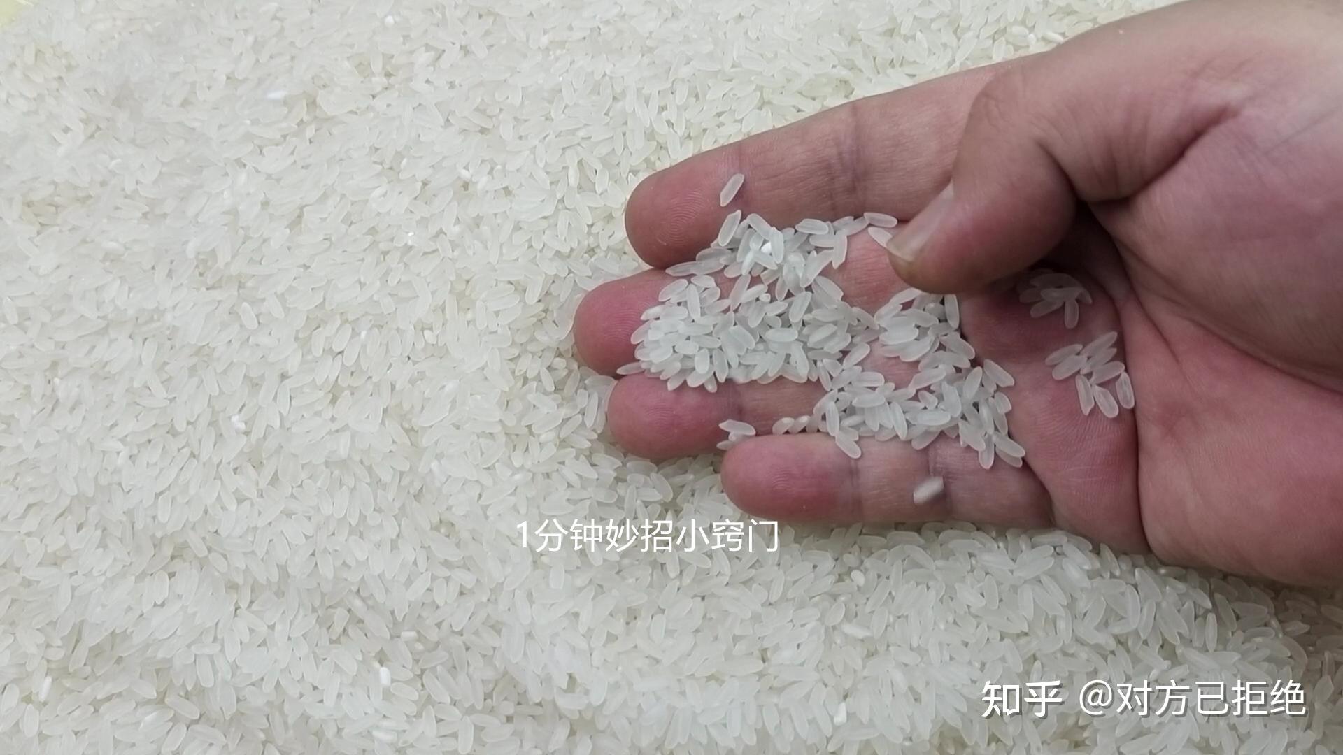 家里大米生虫怎么除掉 去除大米生虫的方法与技巧