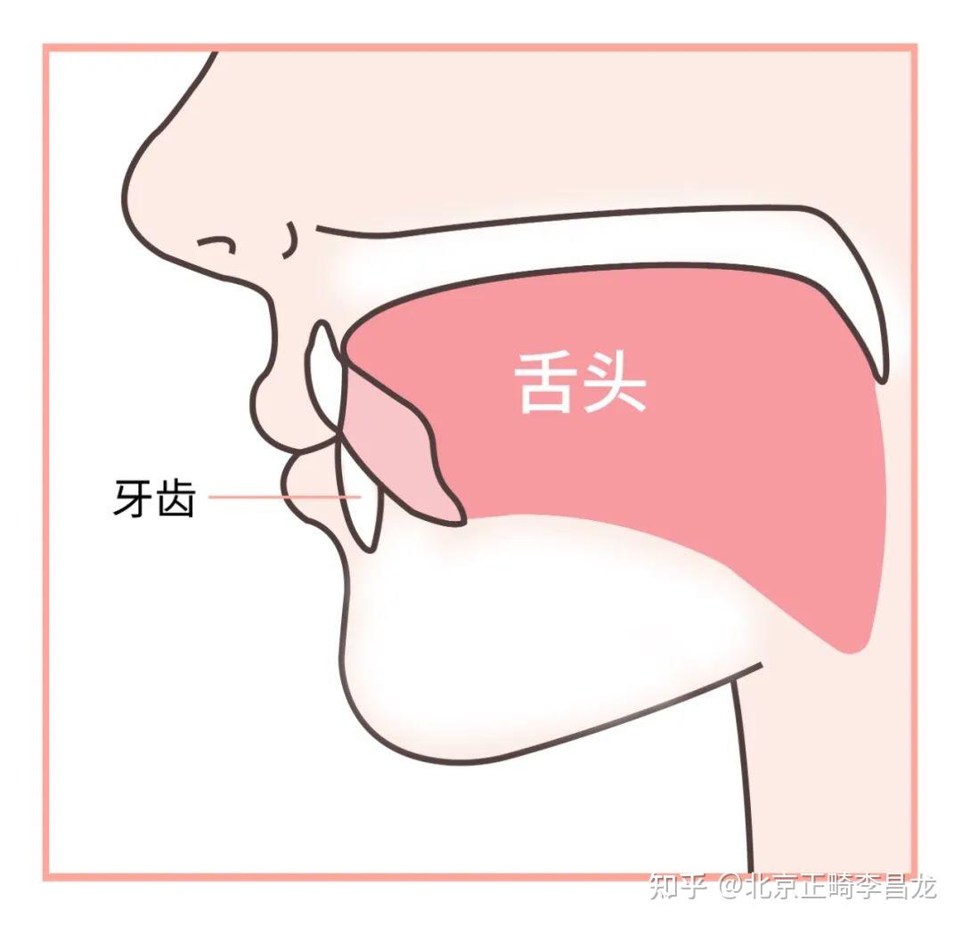 北京牙齿矫正丨舌头位置放错,影响那么大?快看看你的舌头放对位置了吗 - 知乎