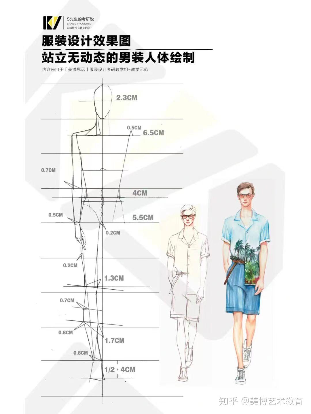 腔體位置及形狀第一步-確定九頭身的頭身比例-每個頭長4cm寬肩蜂腰的