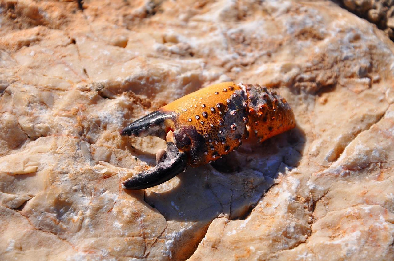 长寿东海房价多少