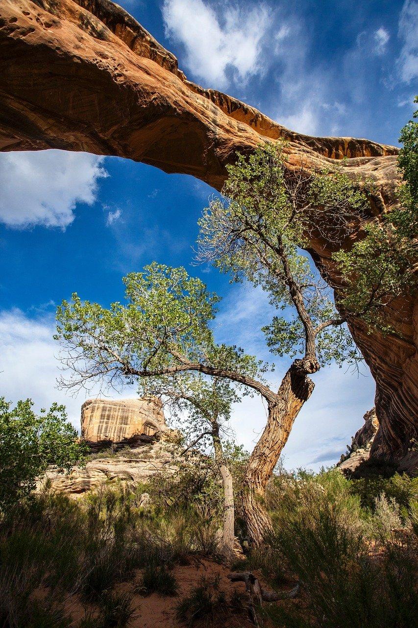 4. 红沙岩分布区域